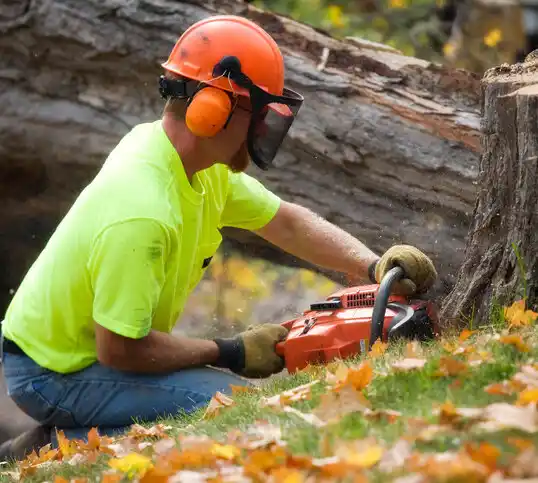 tree services Grantsville